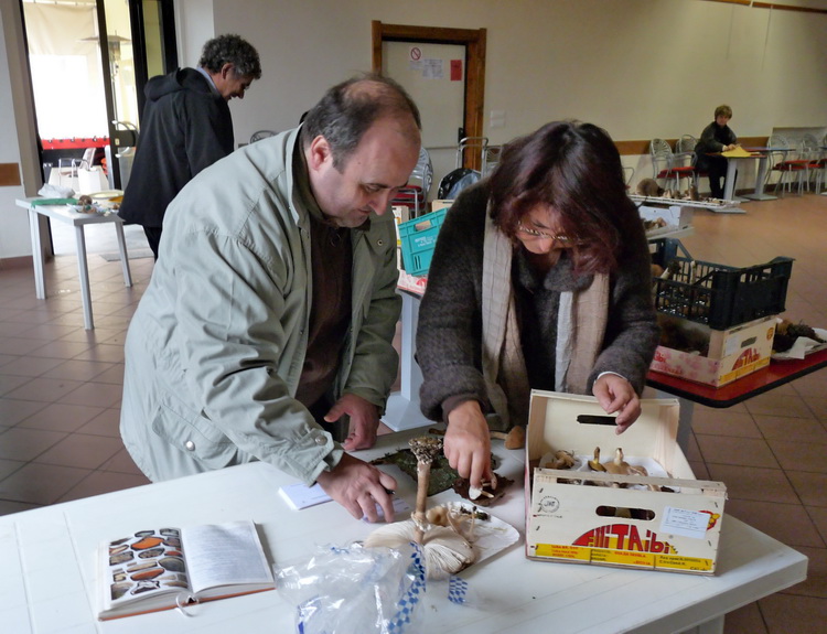 Mostra micologica con partecipazione di NM